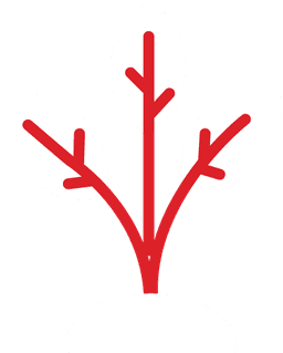 Growth Opportunities Icon